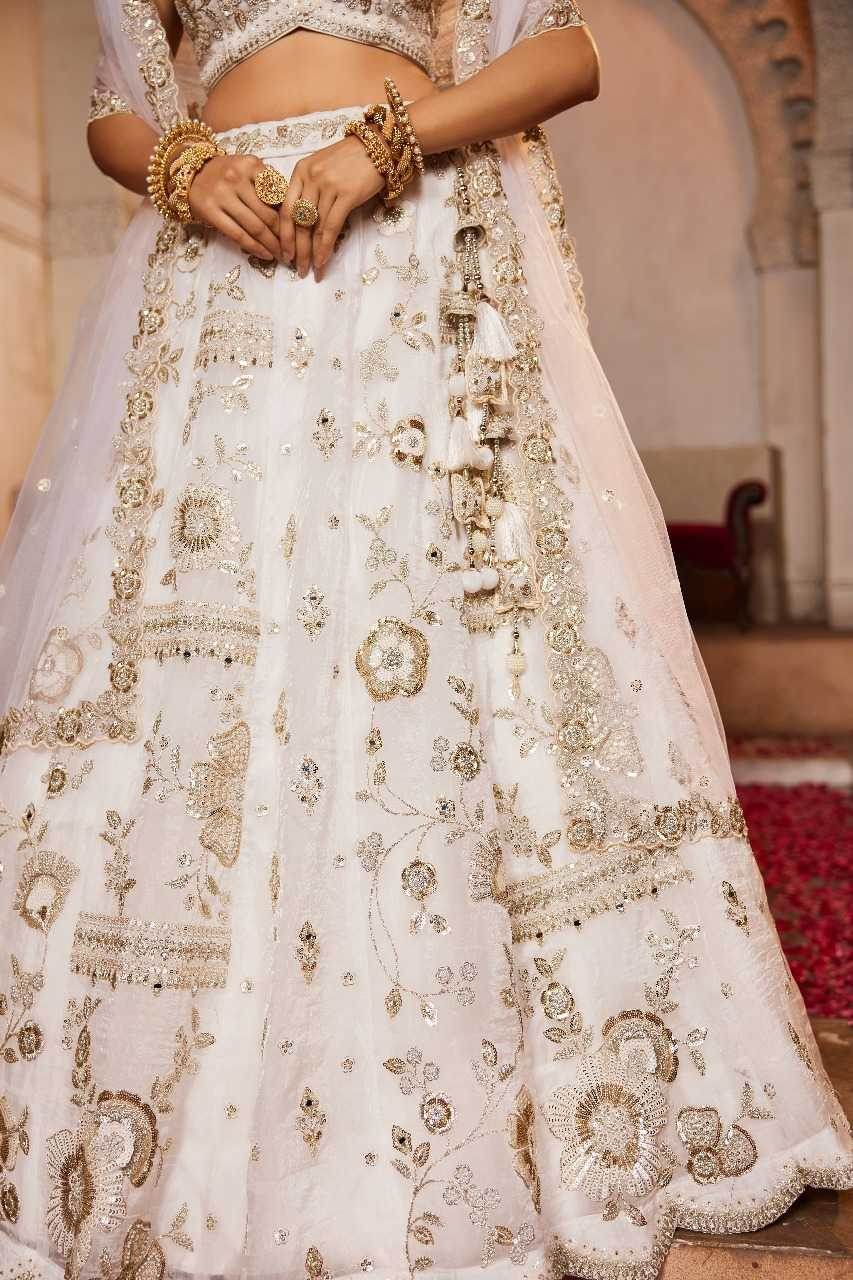 Tissue Embroidered Lehenga - MYLUXURY LANE ENTERPRISE